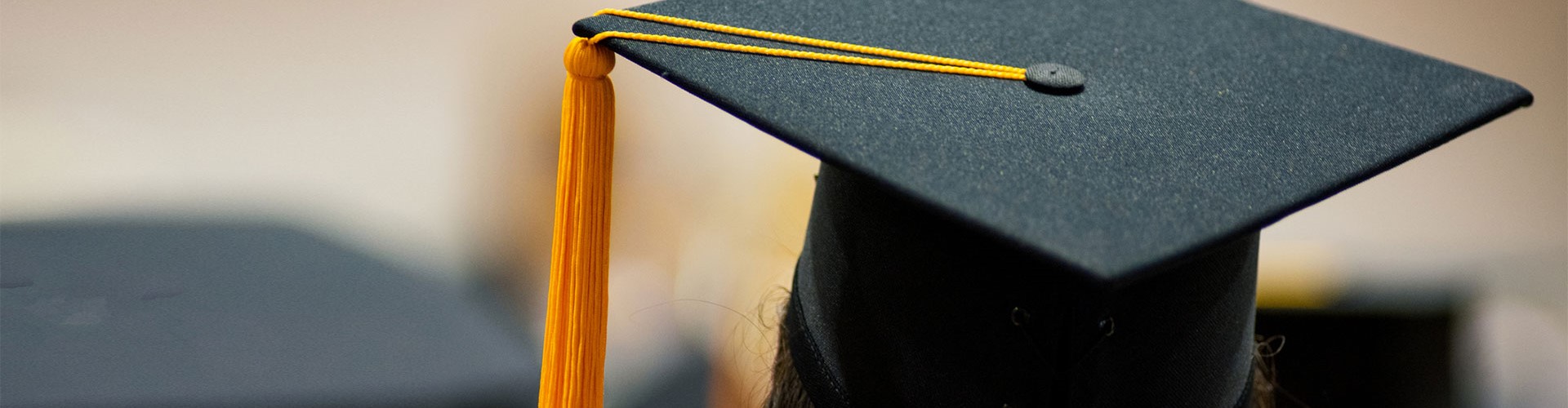 Bachelor of Arts Hons Business Studies Top Up